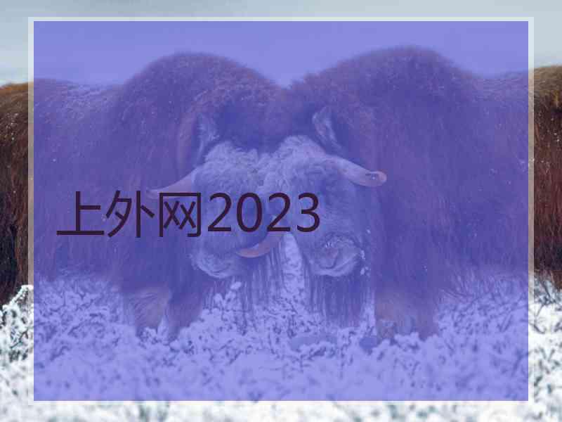 上外网2023