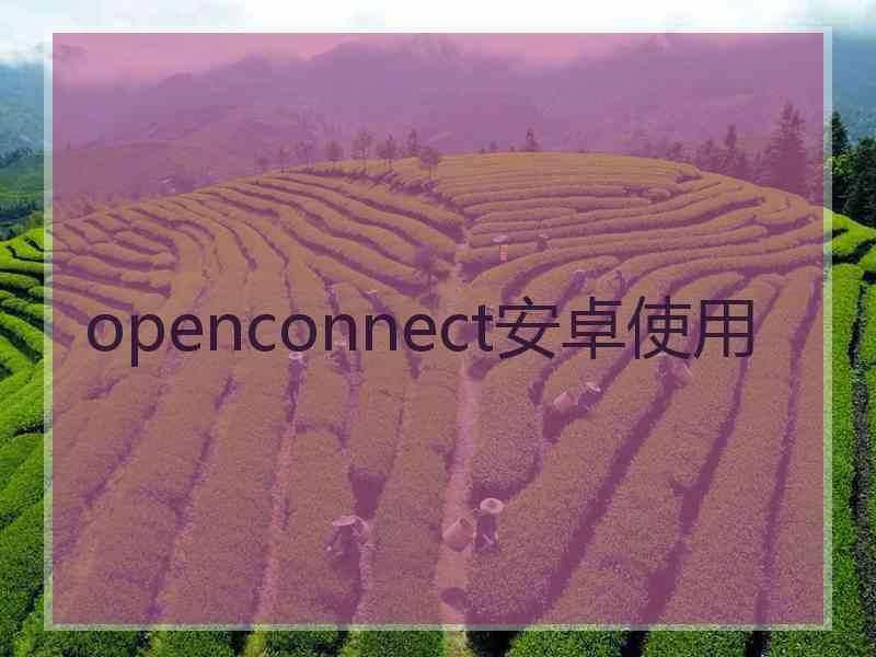 openconnect安卓使用