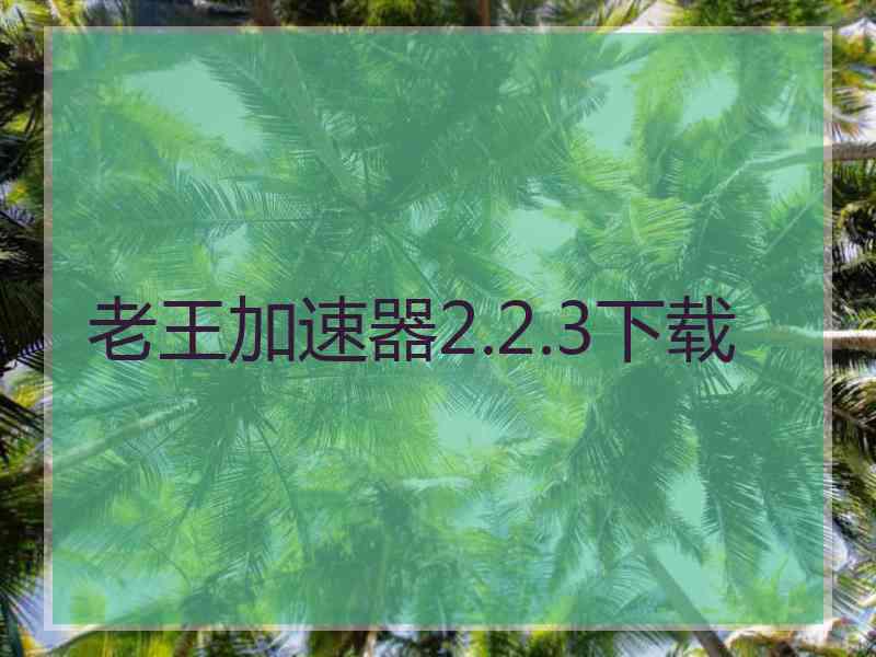 老王加速器2.2.3下载