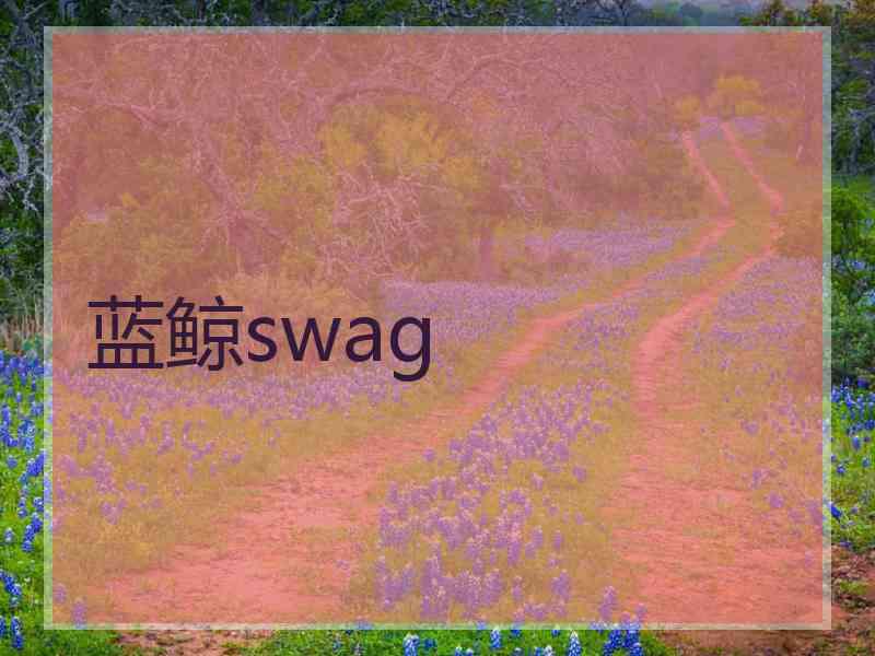 蓝鲸swag