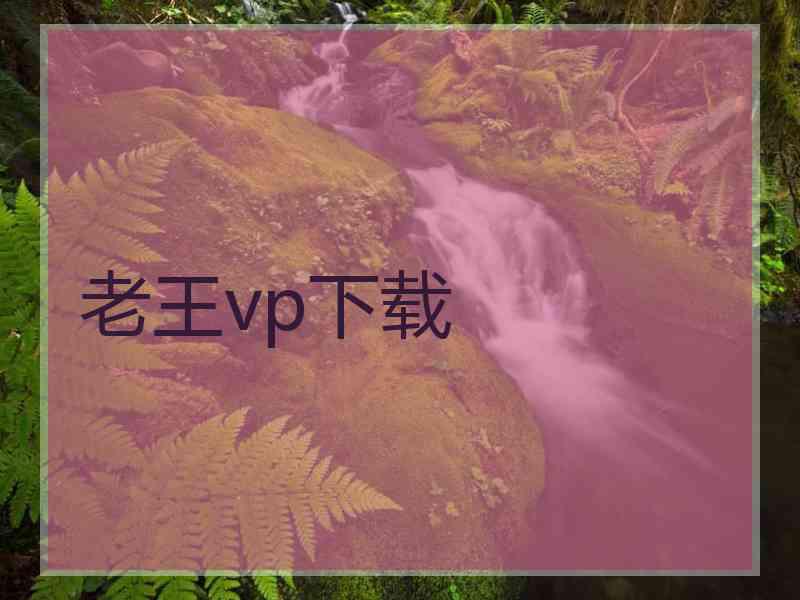 老王vp下载