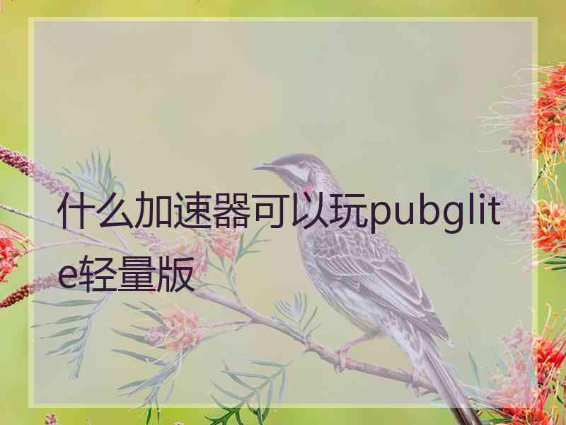 什么加速器可以玩pubglite轻量版