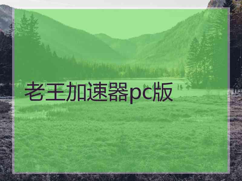 老王加速器pc版