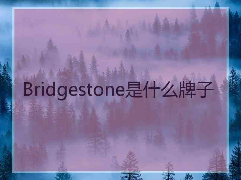 Bridgestone是什么牌子