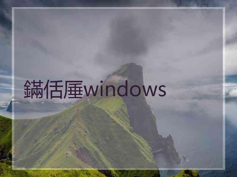 鏋佸厜windows