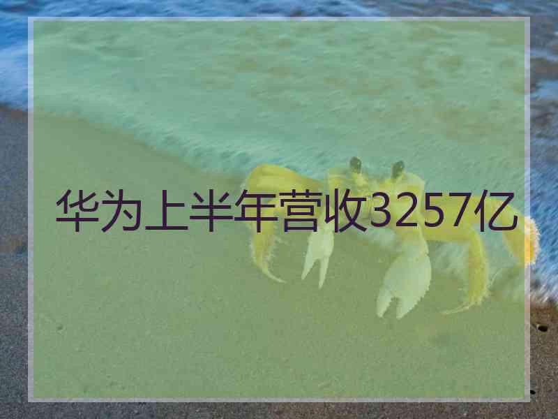 华为上半年营收3257亿