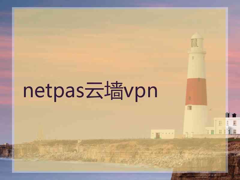 netpas云墙vpn