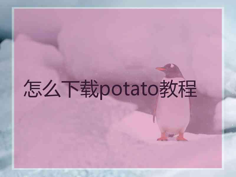 怎么下载potato教程