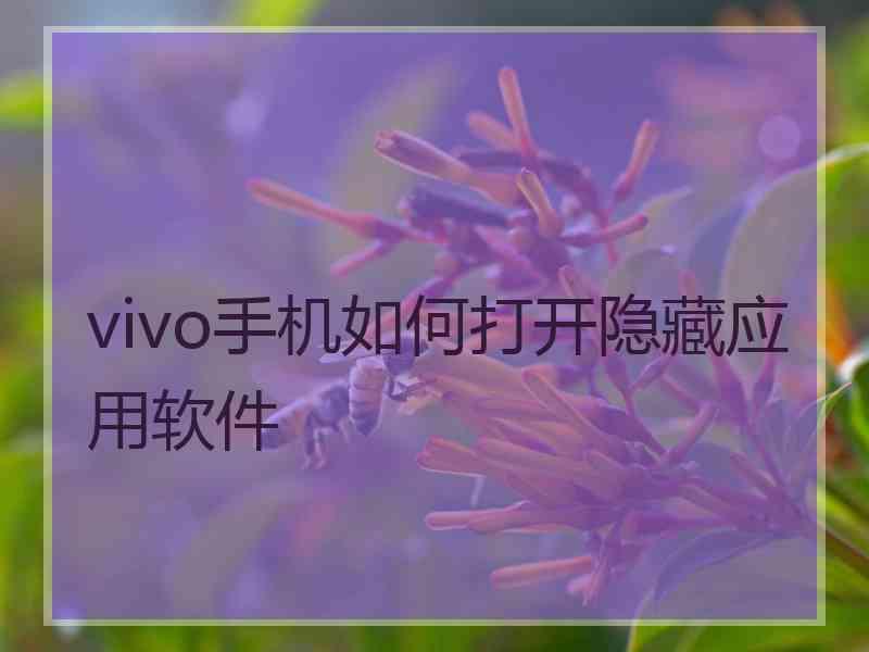 vivo手机如何打开隐藏应用软件