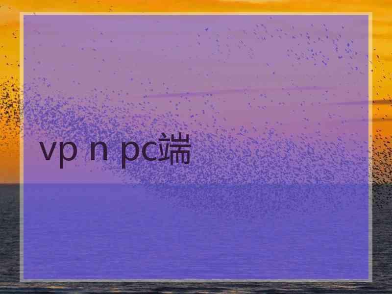 vp n pc端