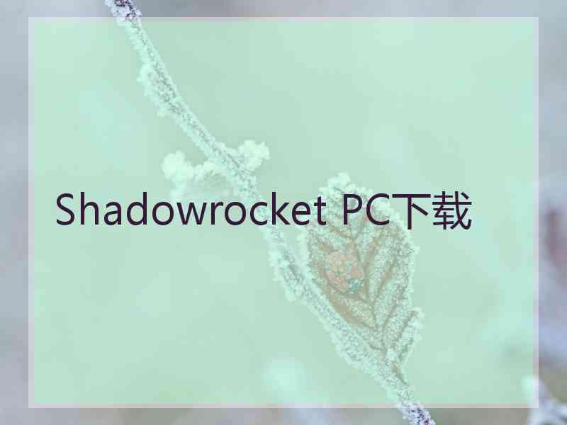 Shadowrocket PC下载