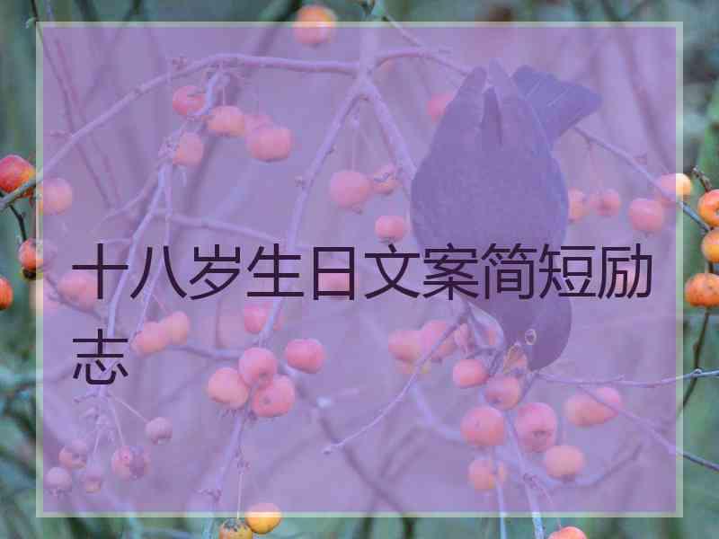 十八岁生日文案简短励志