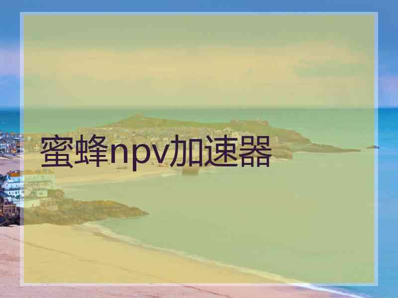 蜜蜂npv加速器