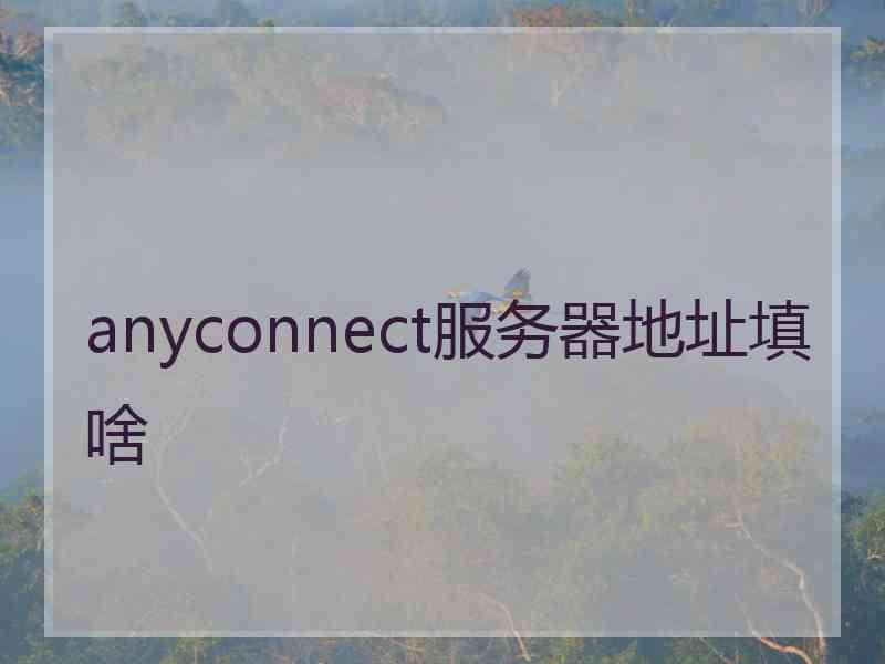 anyconnect服务器地址填啥