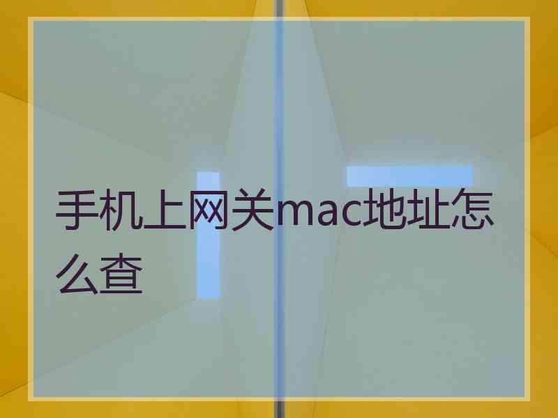 手机上网关mac地址怎么查