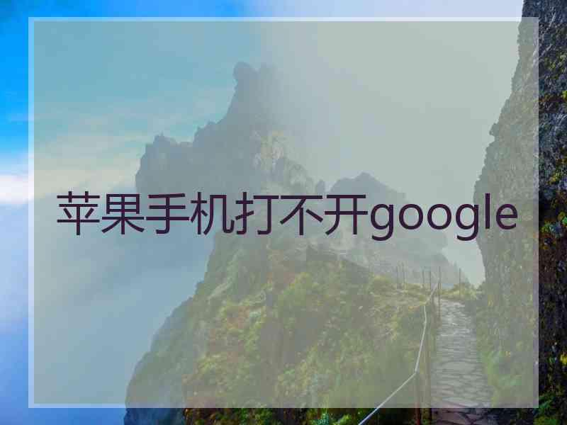 苹果手机打不开google