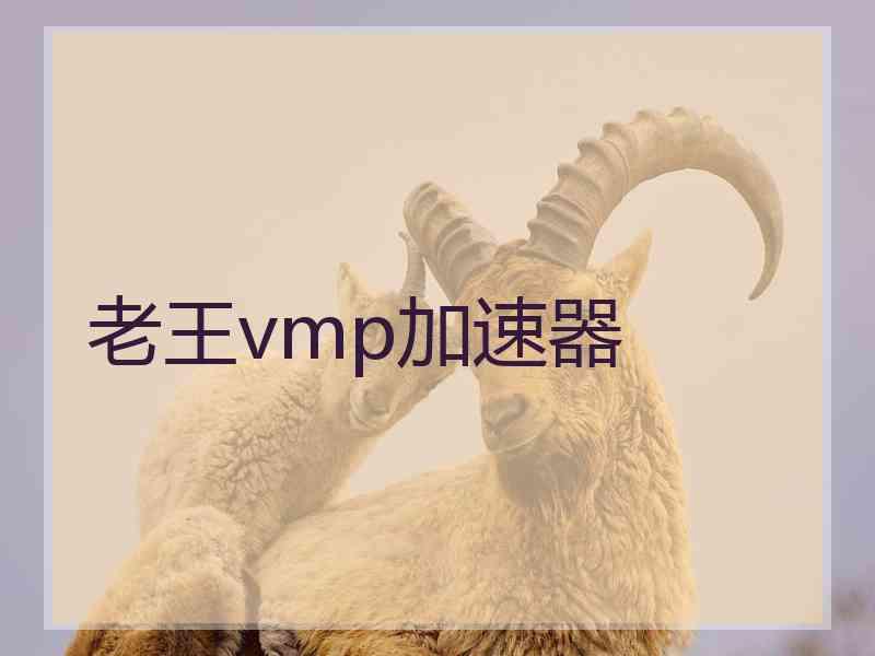 老王vmp加速器