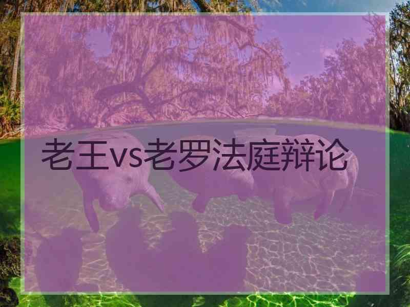 老王vs老罗法庭辩论