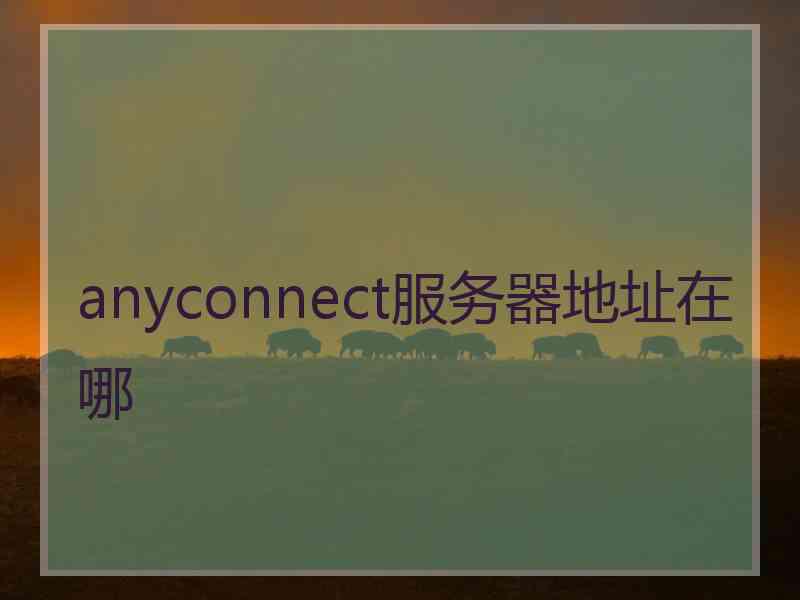 anyconnect服务器地址在哪