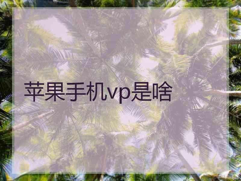 苹果手机vp是啥