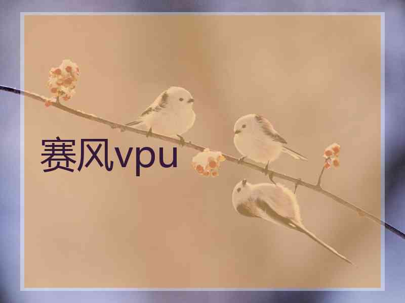 赛风vpu