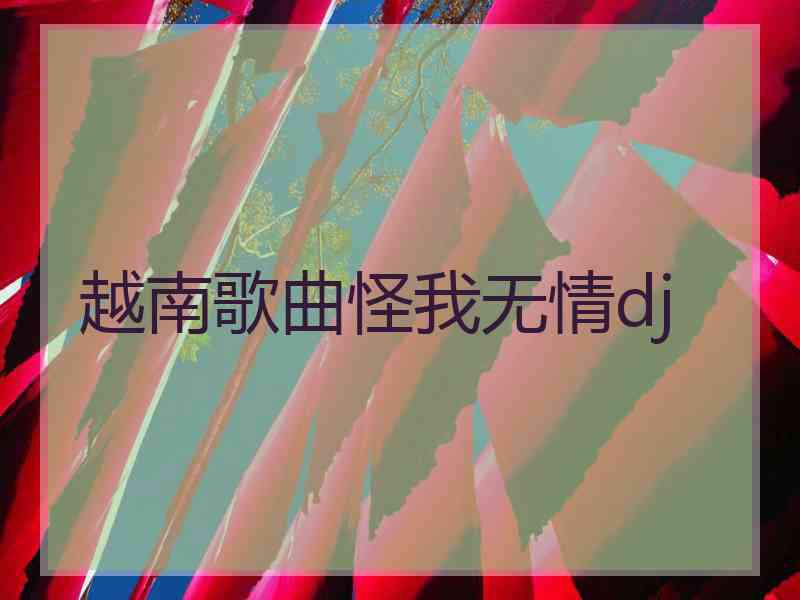 越南歌曲怪我无情dj