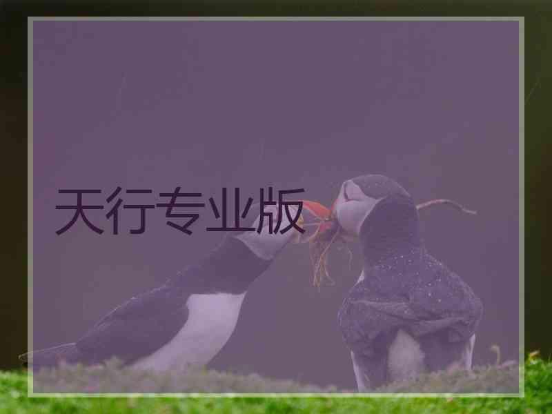 天行专业版