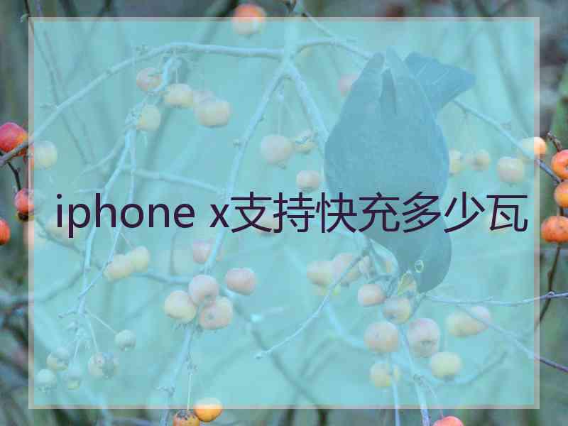 iphone x支持快充多少瓦