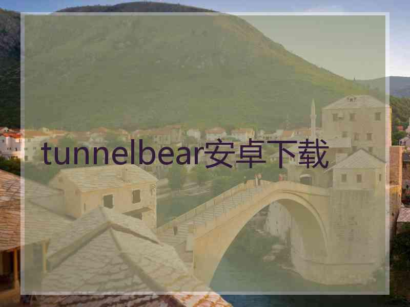 tunnelbear安卓下载