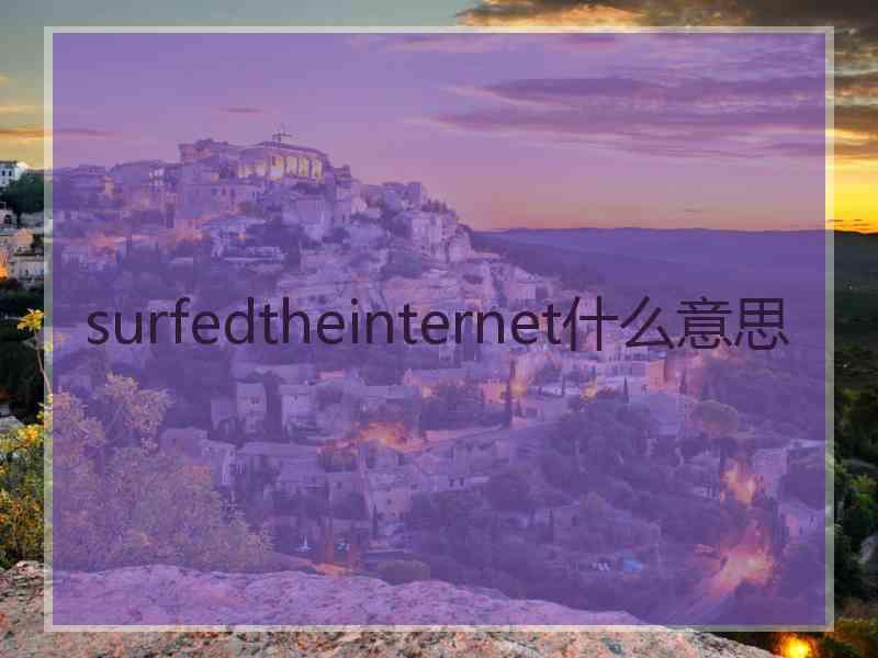 surfedtheinternet什么意思