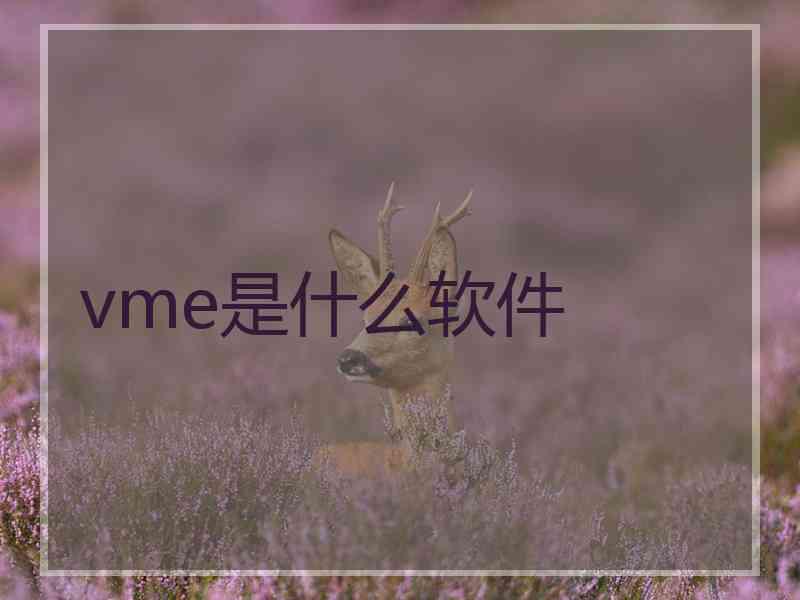 vme是什么软件