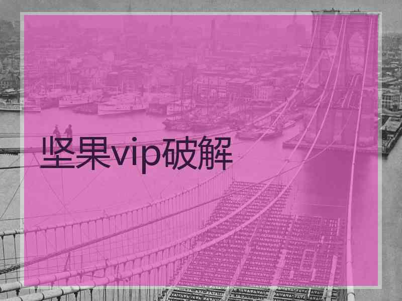 坚果vip破解