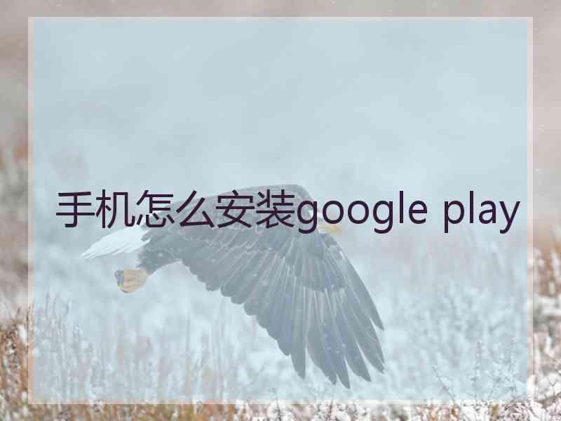 手机怎么安装google play