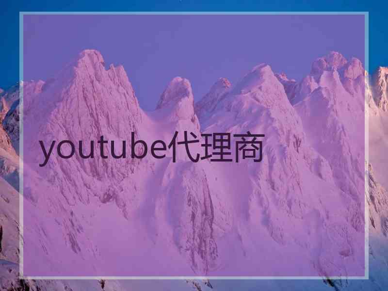 youtube代理商