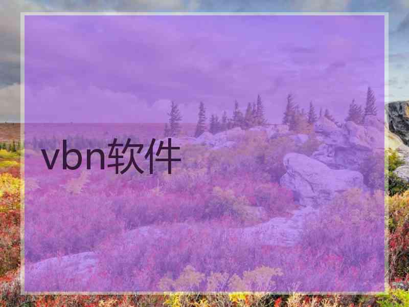 vbn软件