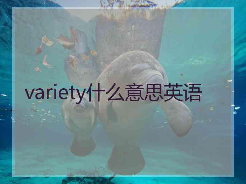 variety什么意思英语