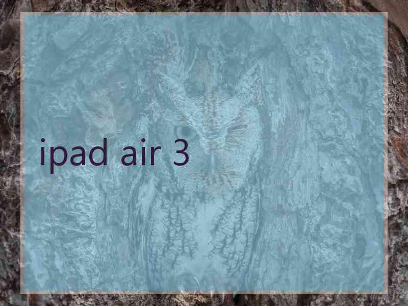 ipad air 3