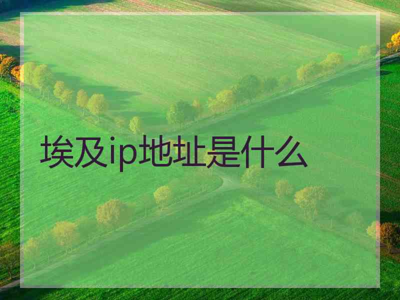 埃及ip地址是什么