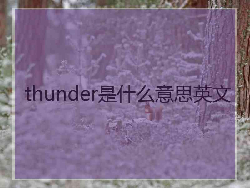 thunder是什么意思英文