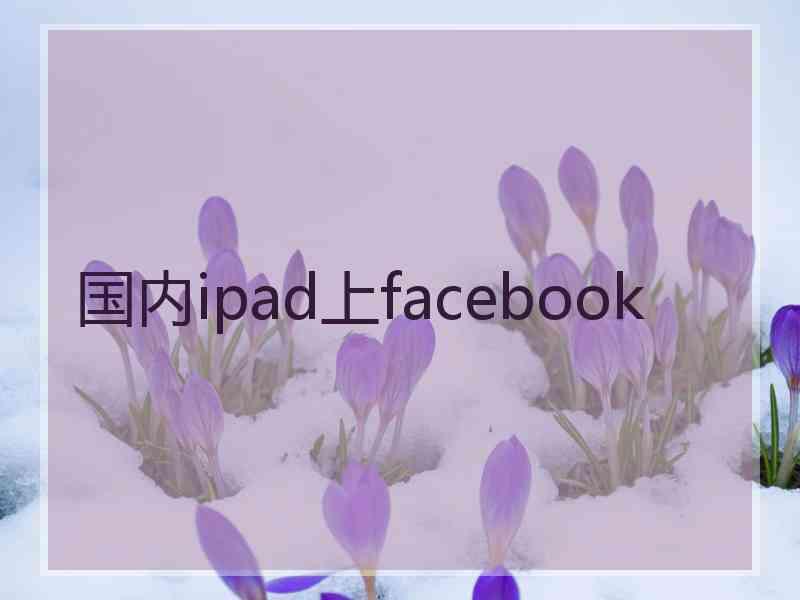 国内ipad上facebook