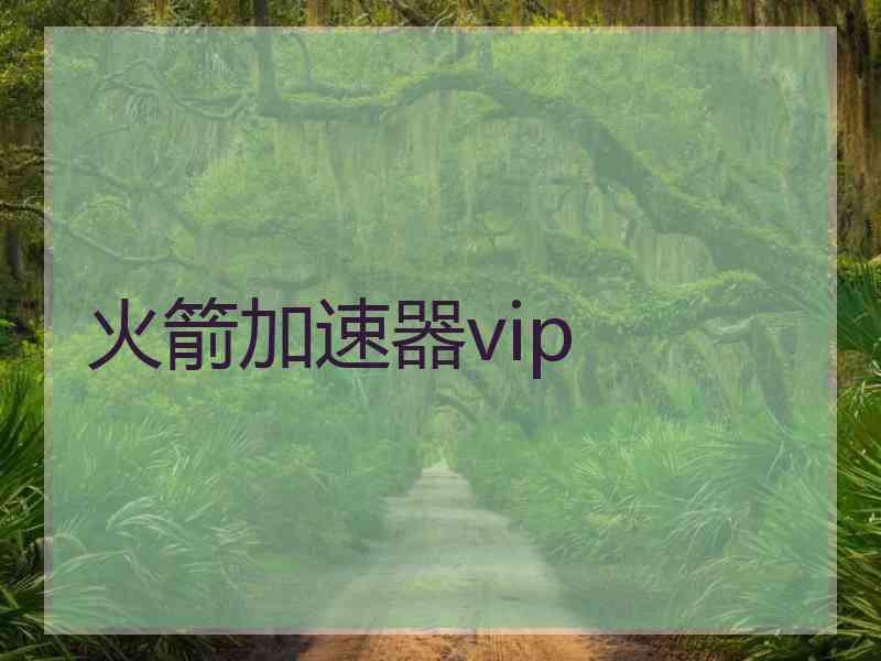 火箭加速器vip