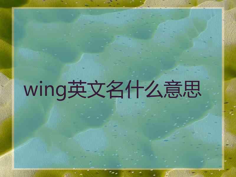 wing英文名什么意思