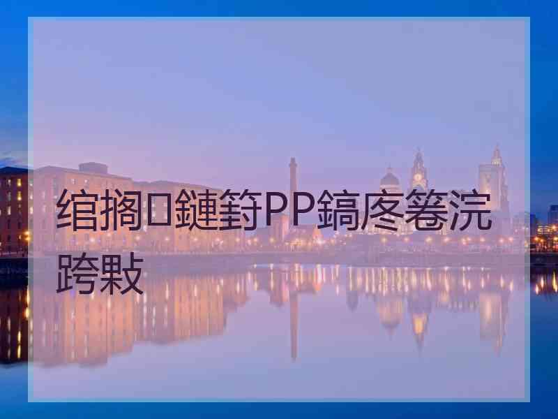 绾搁鏈篈PP鎬庝箞浣跨敤