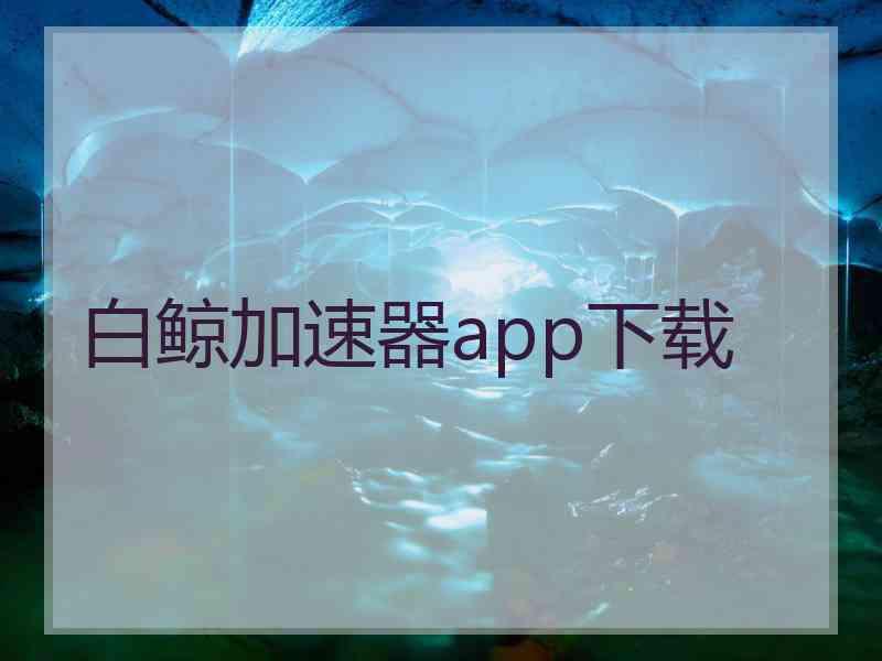 白鲸加速器app下载