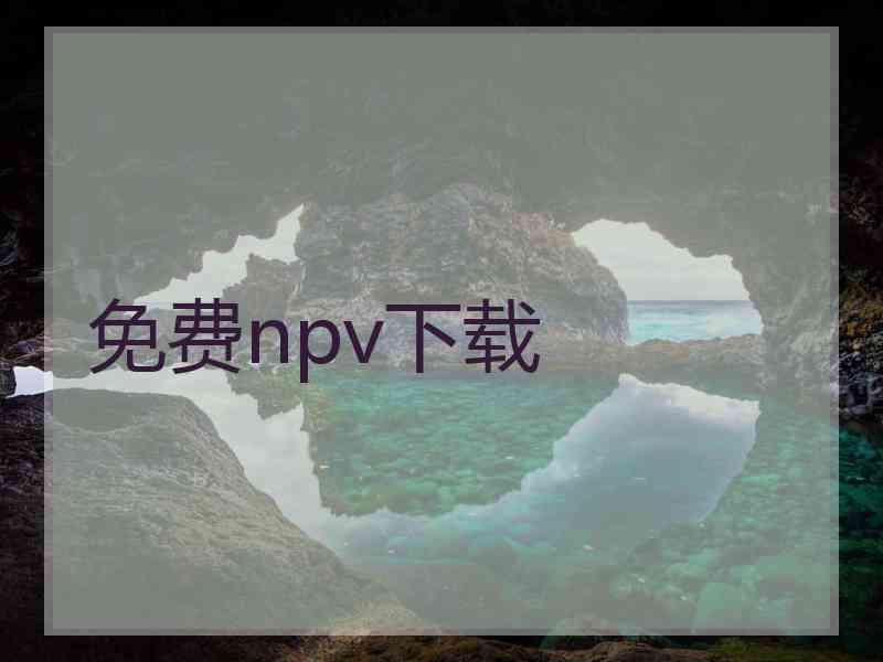 免费npv下载