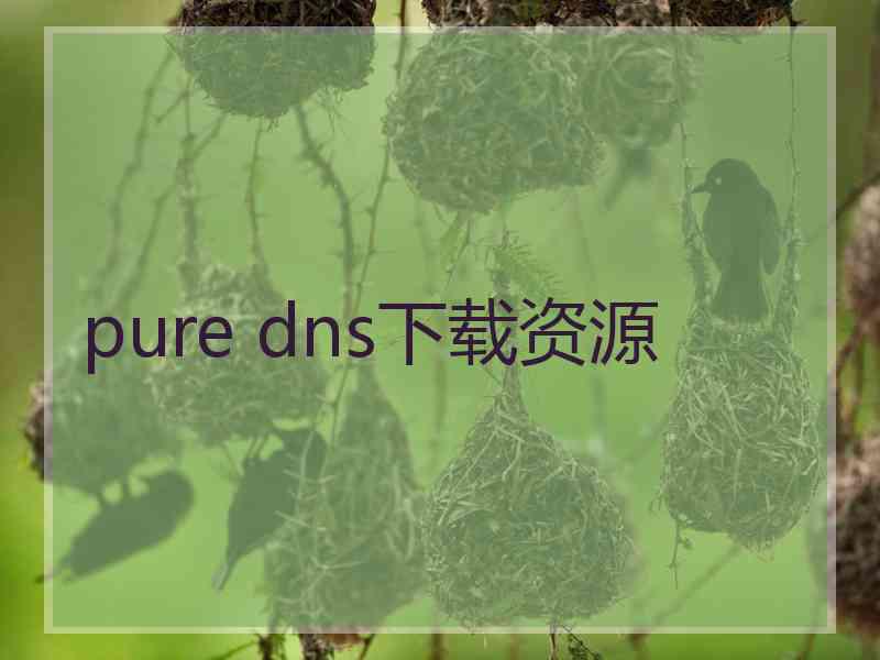 pure dns下载资源