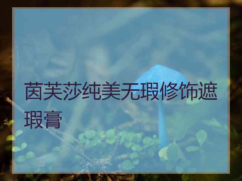 茵芙莎纯美无瑕修饰遮瑕膏