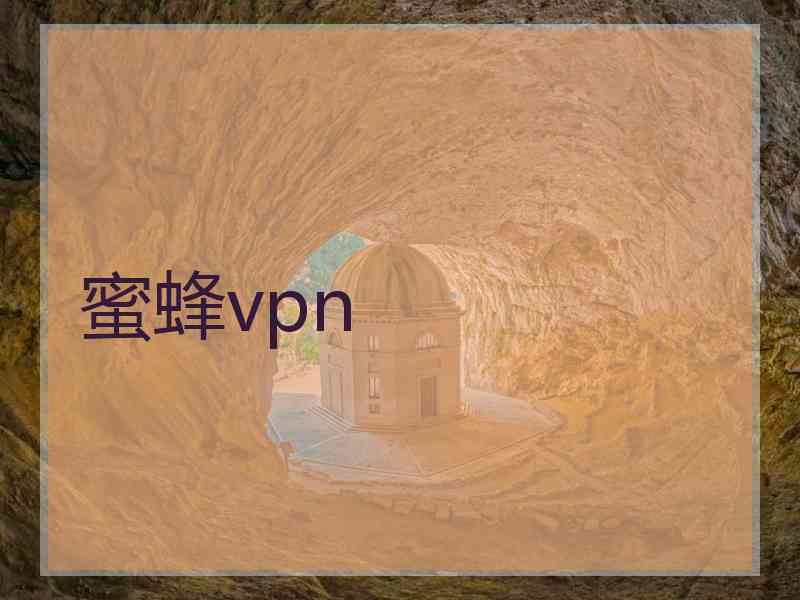 蜜蜂vpn