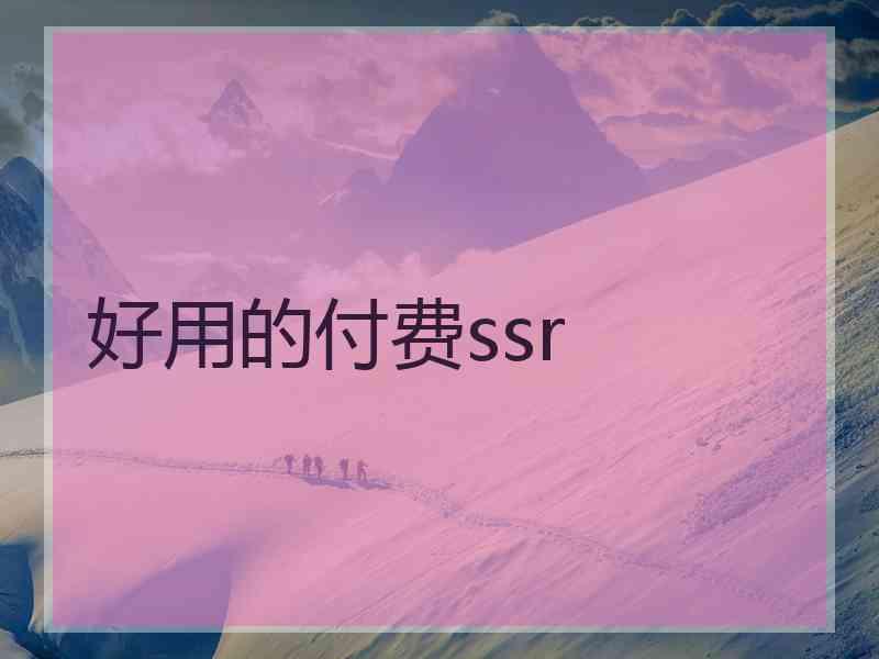 好用的付费ssr