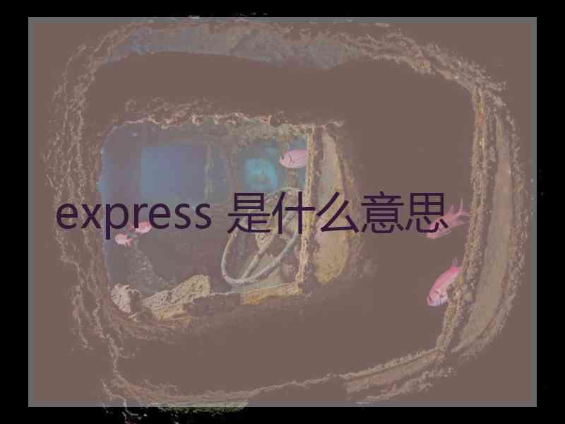express 是什么意思